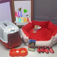 پامیر با وسایل|سگ|قزوین, |دیوار