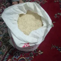 برنج فجرخوشپخت|خوردنی و آشامیدنی|تبریز, |دیوار