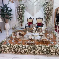 استخدام مهماندار خانم