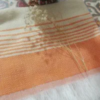 حوله|لباس|بیرجند, |دیوار