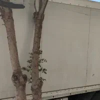 یخچال ایسوزو|خودرو سنگین|صدرا-فارس, فاز ۱|دیوار