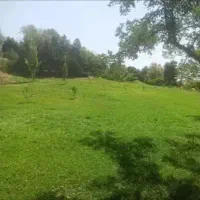 تور طبیعت گردی