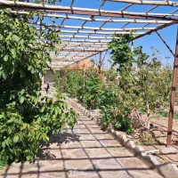 باغ تفریحی خدر اباد|فروش خانه و ویلا|قم, منبع آب|دیوار