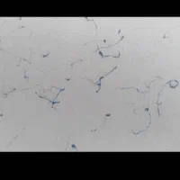 اجرای کنتکس با بهترین جنس بازار با ضمانت نامه مهر|خدمات پیشه و مهارت|شیراز, دارالرحمه|دیوار