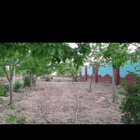 خرید بدون واسطه مستقیم ازمالک اصلی۵۷۷متری با دیوار