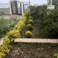 ویلا دوبلکس سنددار|فروش خانه و ویلا|کلاردشت, |دیوار