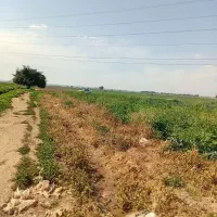فروش4-هکتار-زمین-کشاورزی-99ساله-سبیلی