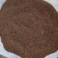 کنجد امسالی