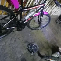 دوچرخه فروشی|دوچرخه، اسکیت، اسکوتر|مشهد, تلگرد|دیوار