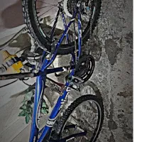 دوچرخه 24بونیتو|دوچرخه، اسکیت، اسکوتر|گنبد کاووس, |دیوار