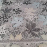 دوعددگلیم فرش۶متری