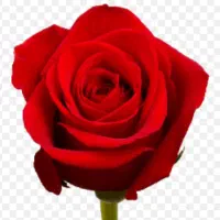 تدریس خصوصی ریاضی