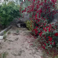 باغ-و-باغچه-400متری-شهریار-رزکان