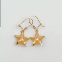 گوشواره گمشده