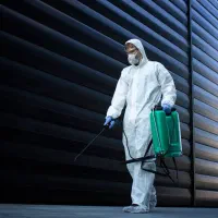 سمپاشی سوسک و ساس،کنترل آفات