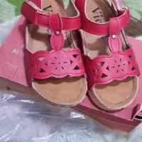 کفش وکیف|کیف، کفش، کمربند|نجف‌آباد, کشاورز|دیوار