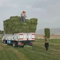 فروش یونجه پرس