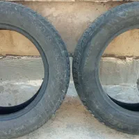 لاستیک بارز