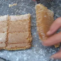 عسل طبیعی تکاب|خوردنی و آشامیدنی|اسلامشهر, شهرک مفیدی|دیوار