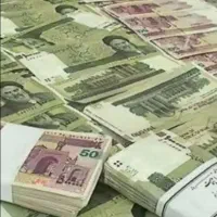 نیازمند ضامن