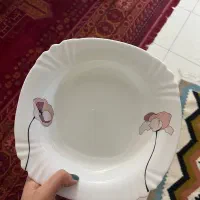 سرویس آکروپال