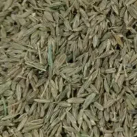 زیره‌سبز‌|خوردنی و آشامیدنی|گرمخان, |دیوار