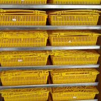 دستگاه 1850 عددی دماوند|لوازم جانبی حیوانات|بابل, |دیوار