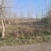 زمین-باغی-در-رشت-سنگر