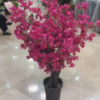 گل مصنوعی شکوفه|گل مصنوعی|گرگان, |دیوار