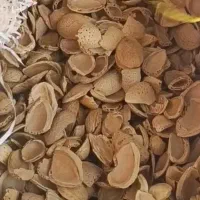 پوست بادام