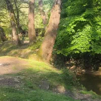 زمین-ویلایی-در-ابعاد-عالی