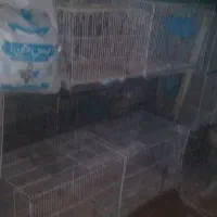 قفس|لوازم جانبی حیوانات|شیروان (خراسان), |دیوار