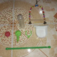 قفس طوطی|لوازم جانبی حیوانات|رشت, گلزاران|دیوار