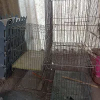قفس پرنده حراج
