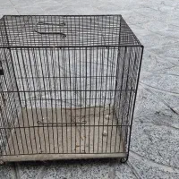 قفس پرنده|لوازم جانبی حیوانات|کرج, حصارک بالا|دیوار