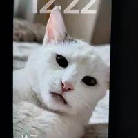 ایفون ۱۴ پرومکس ۲۵۶