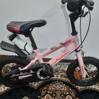 دوچرخه دخترانه آلپینا ۱۲