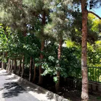 منزل ویلایی۲طبقه نوساز باویو ابدی خ لاهور