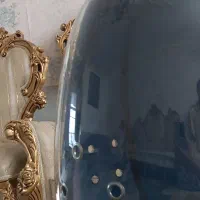 کوله حمل پرنده|لوازم جانبی حیوانات|مشهد, احمدآباد|دیوار