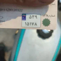 پلاک گم شده