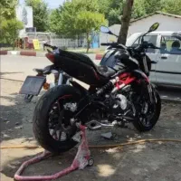 بنلی مزایده ۲۵۰ یا ۳۰۰ جفت