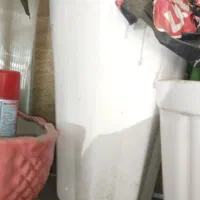 گلدان سرامیکی زیر قیمت سایز 40سانت و 60و 70|گل مصنوعی|تربت‌حیدریه, دیزقند|دیوار