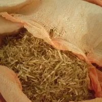 کاه گندم|حیوانات مزرعه|چابهار, |دیوار