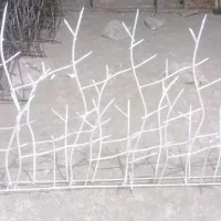 حفاظ روی دیوار. شاخ گوزنی .بوته خاری .|خدمات پیشه و مهارت|مشهد, بهار|دیوار