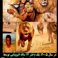تابلو فرش نما روم و مصری بدون نقص