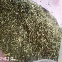 سبزی خشک قورمه سبزی|خوردنی و آشامیدنی|شیراز, مسلم|دیوار