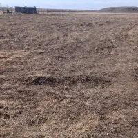 زمین کشاورزی ارمغانخانه