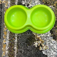 وسایل سگ|لوازم جانبی حیوانات|پرند, فاز ۶|دیوار