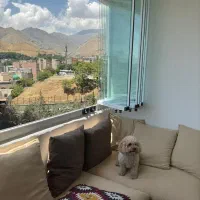 نمایندگی شیشه بالکنی تاشو کانات/بدون بیعانه/اقساطی|خدمات پیشه و مهارت|تهران, جمالزاده|دیوار