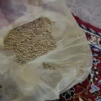عدس خوش پخت و تمیز